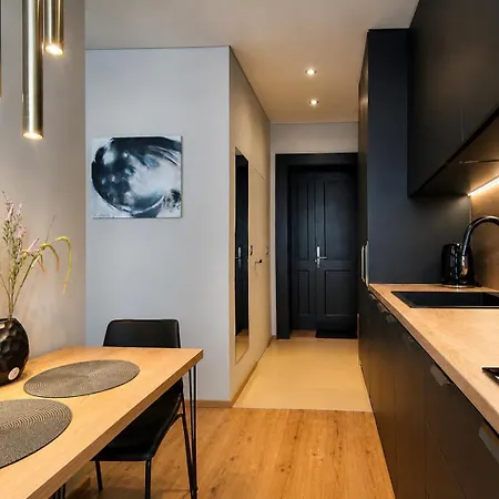 Comfort In Muted Tones - Vivien Apartment Ceske Budejovice